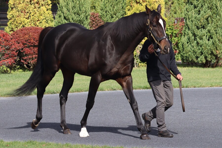 경마) 키타쨩 근황_1.jpg