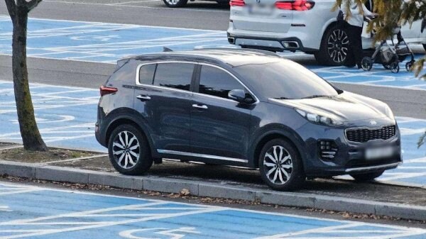 서울대공원 주차장, 무개념 주차 모습_2.jpg