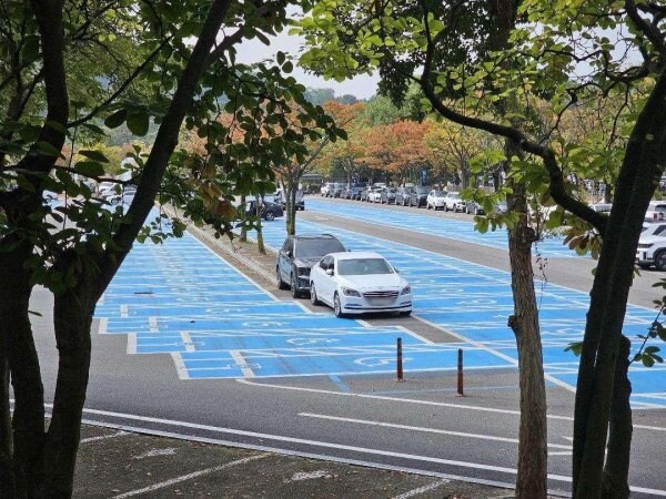 서울대공원 주차장, 무개념 주차 모습_4.jpg