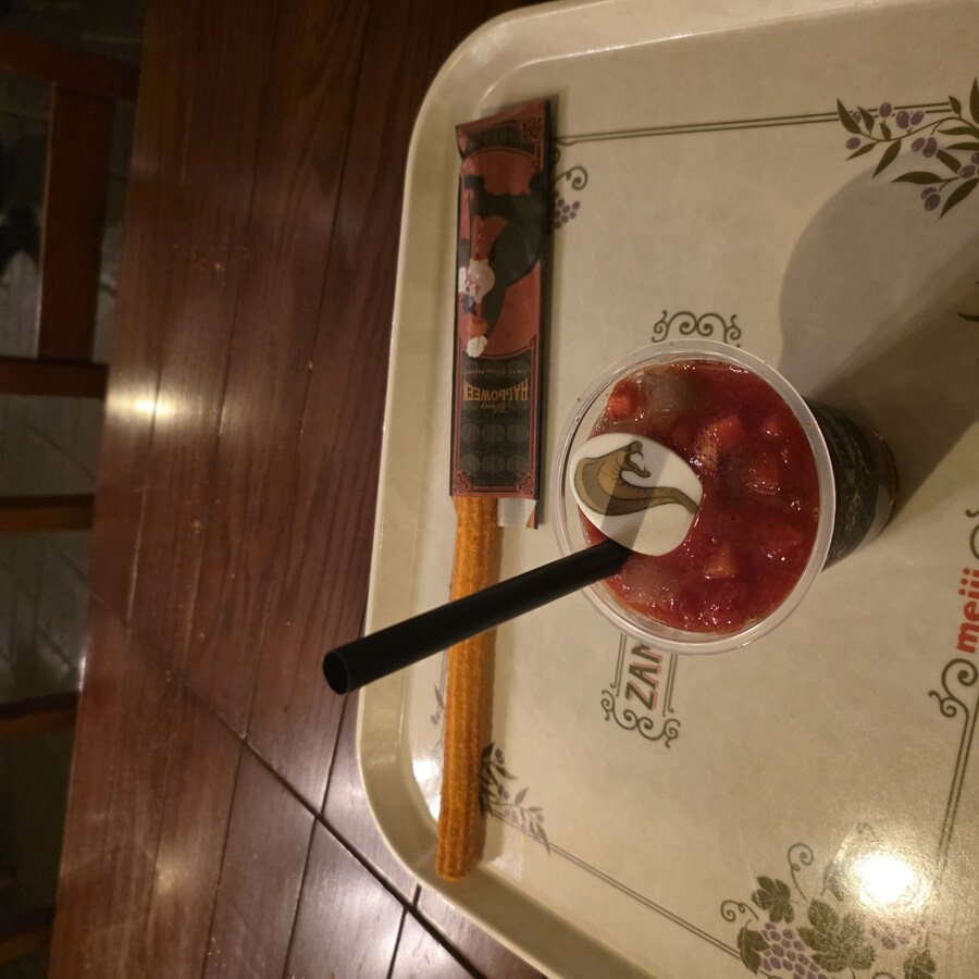 도쿄 디즈니씨 후기(초장문,초스압)_23.jpg