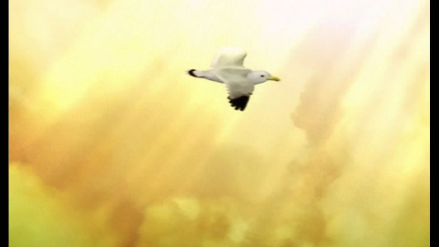 DEAD OR ALIVE 4_71.jpg