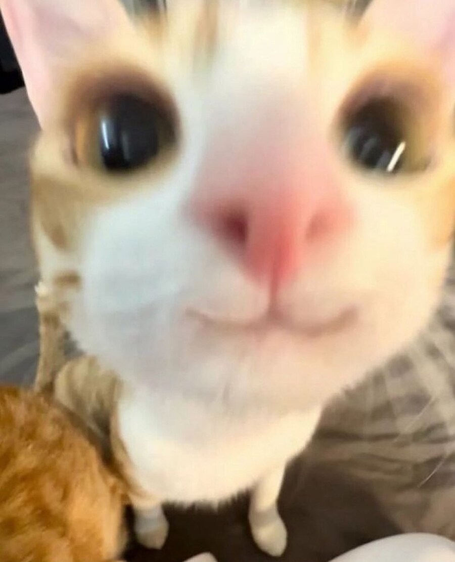 블루아카) 개인적으로 가장 높게 평가하는 카즈사 짤_2.jpg