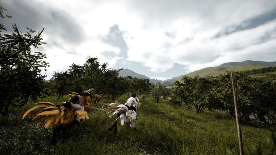 스압 갠적으로 파판7 리메이크보다 더 잼나게 하고있는 파판 15_7.png