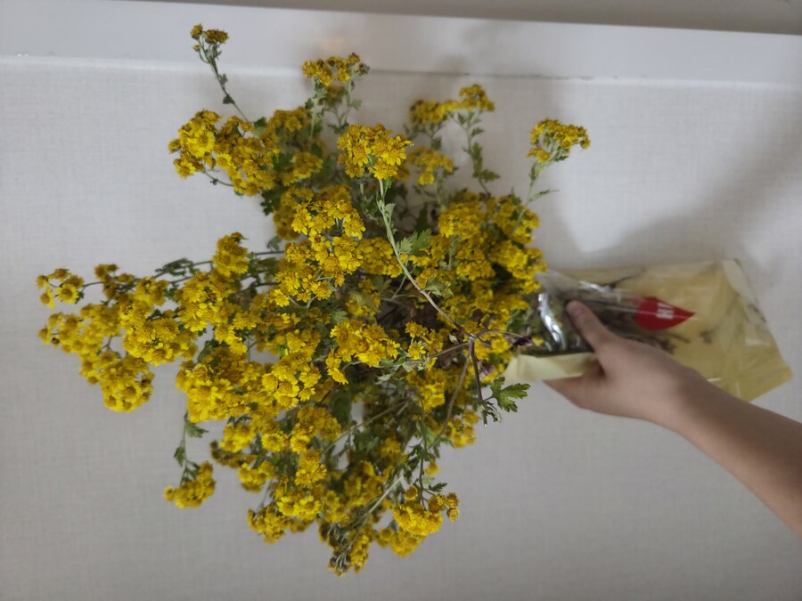 고민/자랑) 이거 어찌함?_1.jpg