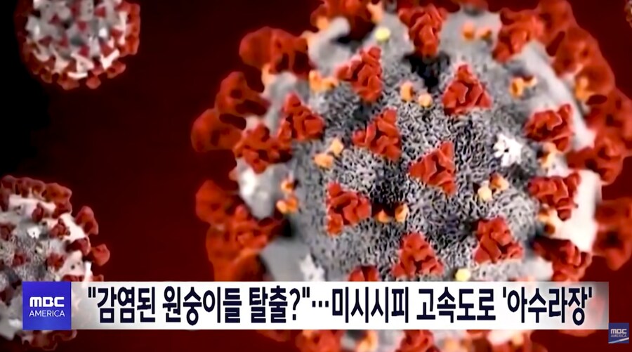 미국 사는 사람들 28일 후에 무사하길_2.png