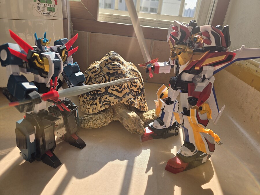 그레이트 다간과 세븐체인져_2.jpg