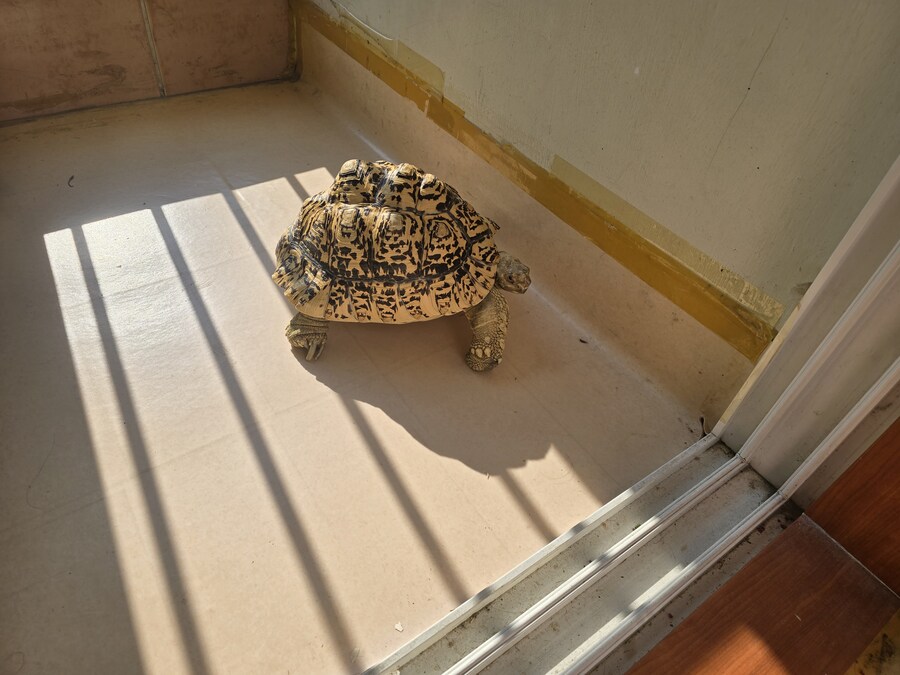 그레이트 다간과 세븐체인져_5.jpg