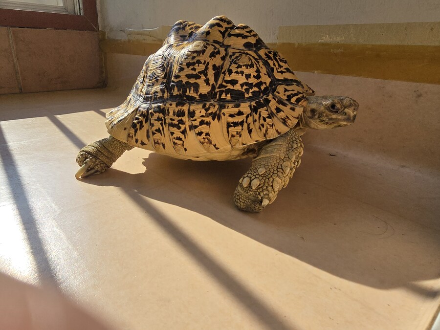 그레이트 다간과 세븐체인져_7.jpg