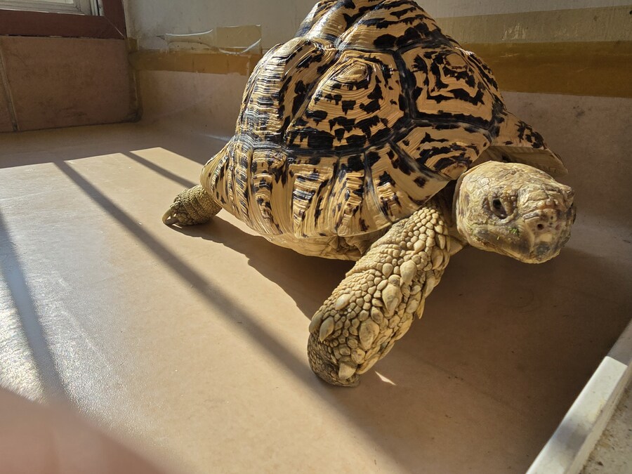 그레이트 다간과 세븐체인져_9.jpg