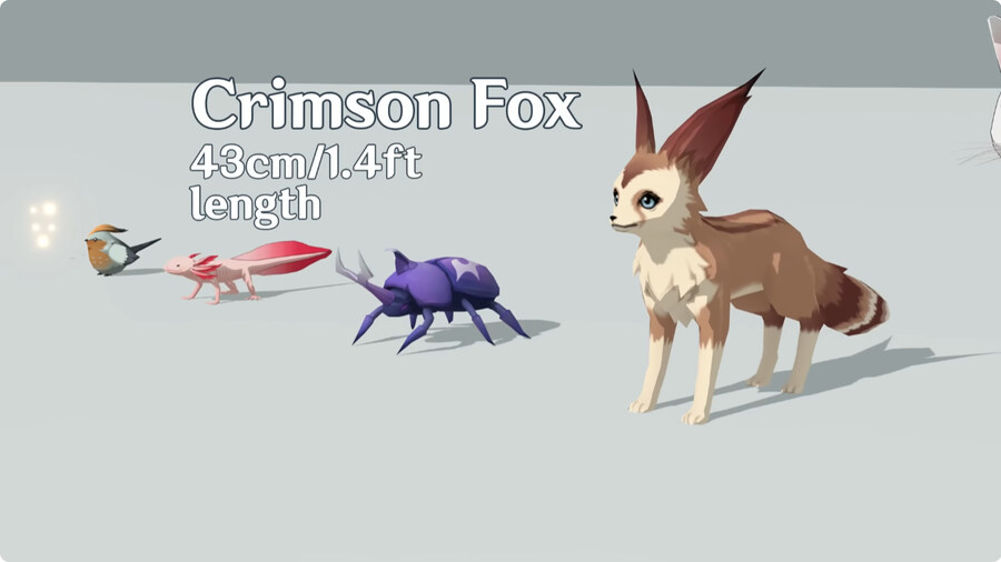 원신 캐릭터 크기 비교.jpg_5.jpg