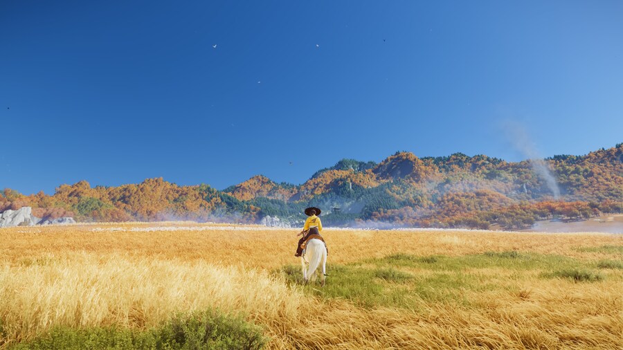 Ghost of Yōtei_13.jpg