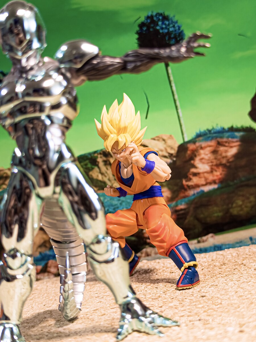 [SHF] 초사이어인 손오공 - 결전의 개막 -_14.jpg