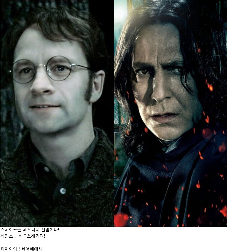 해리포터)제임스vs스네이프 논란에 종결찍는게 가능한 캐릭터_1.png