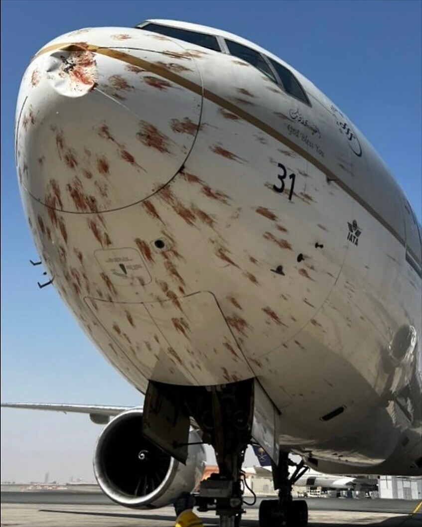 약혐] 이륙 중 새떼와 충돌한 사우디 여객기..._1.jpg
