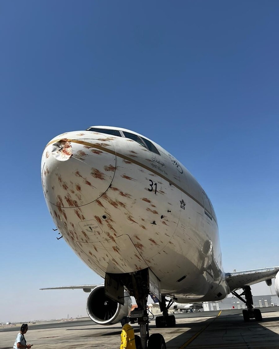 약혐] 이륙 중 새떼와 충돌한 사우디 여객기..._6.jpg