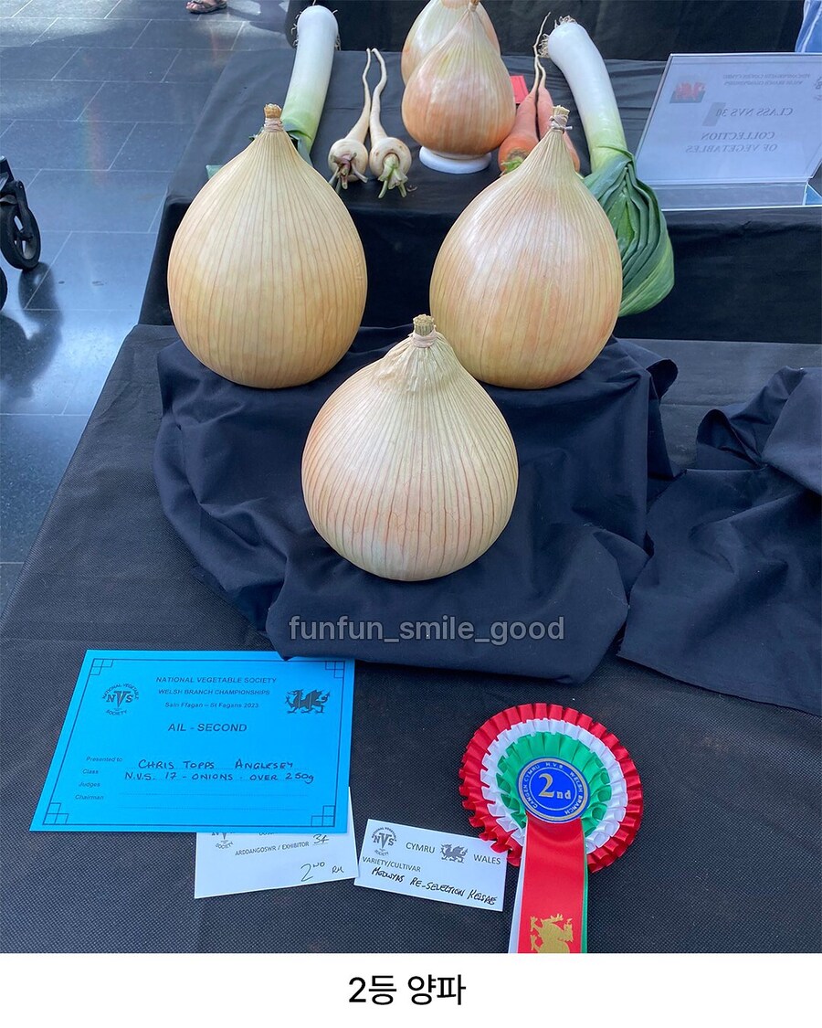 예쁜 야채 대회 수상작들.jpg_3.jpg