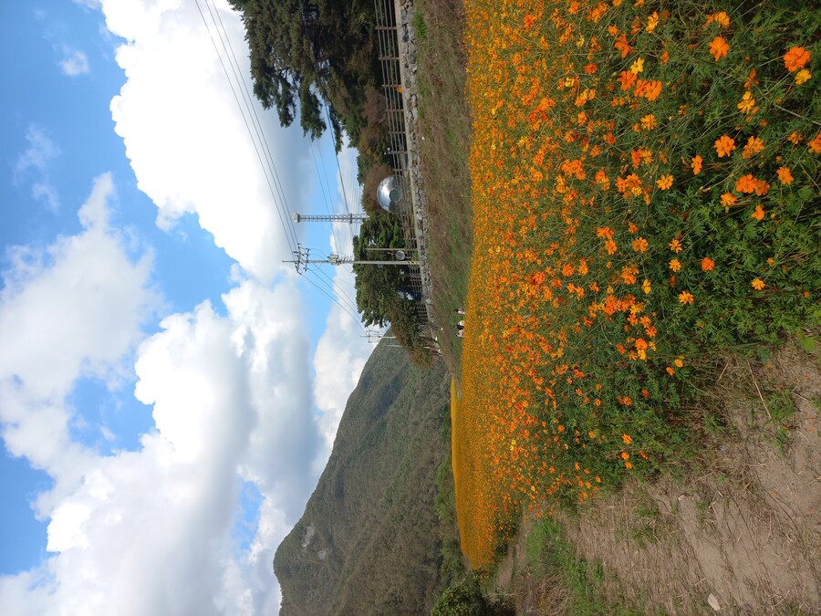 강원도 영월 밥집_1.jpg