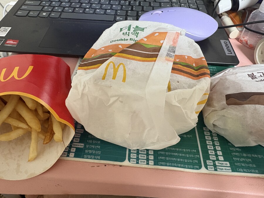 새로운 빅맥_1.jpg
