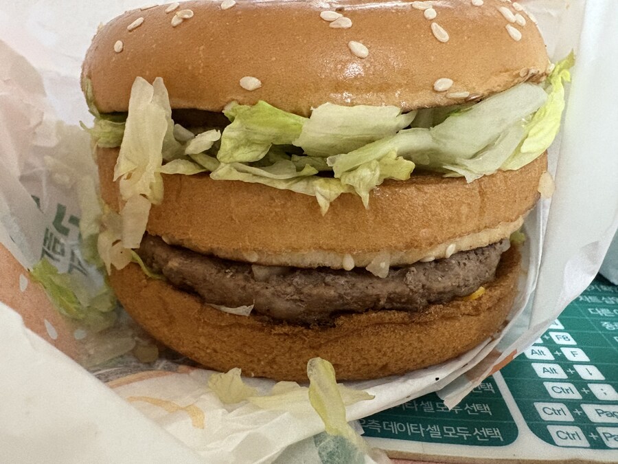 새로운 빅맥_2.jpg
