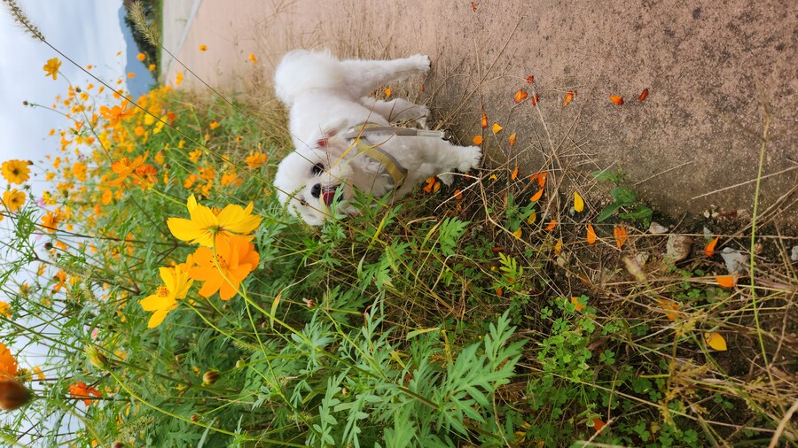 무슨무슨법 지키러왔습니다_4.jpg