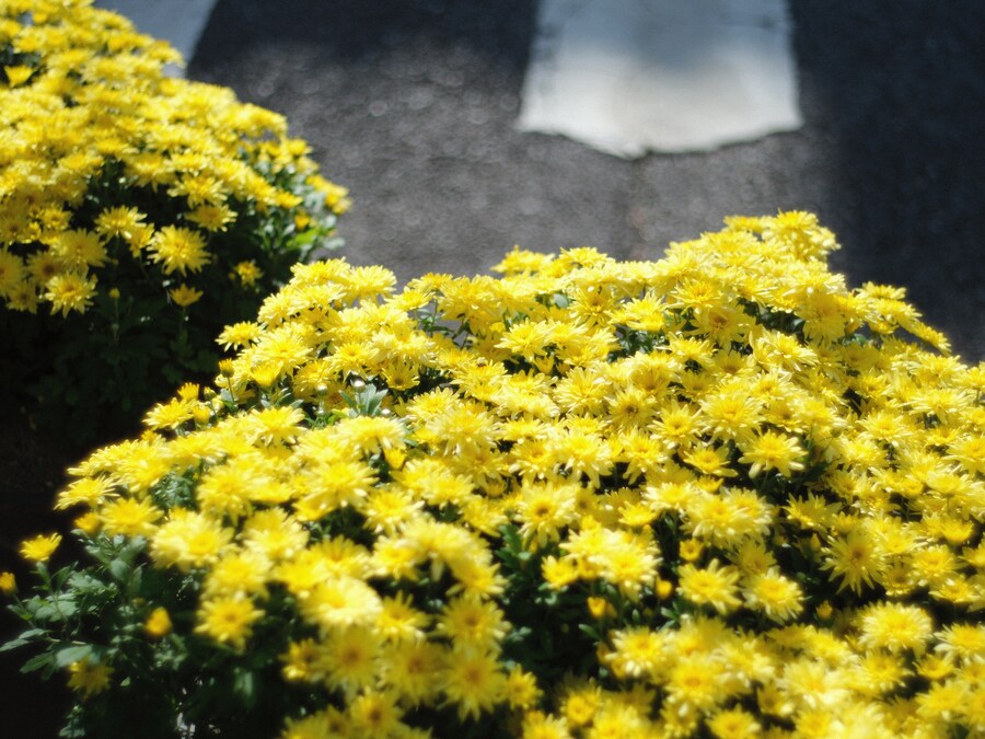 혼술의 시간_1.jpg