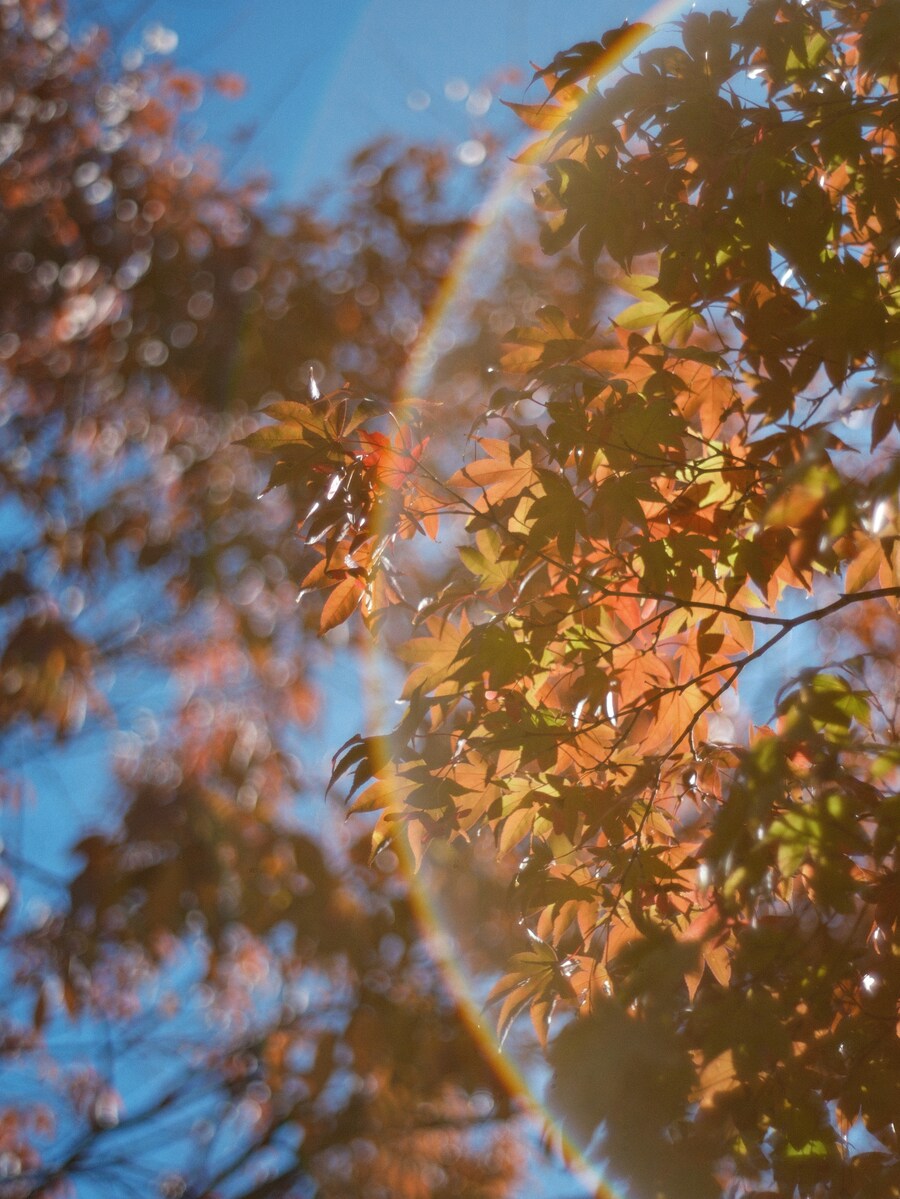 혼술의 시간_22.jpg