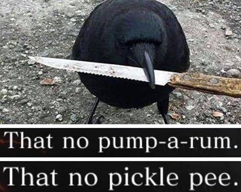 디아2) 늑드루 무기로 썬더마울 죽숨은 어떨까 했는데_1.jpg