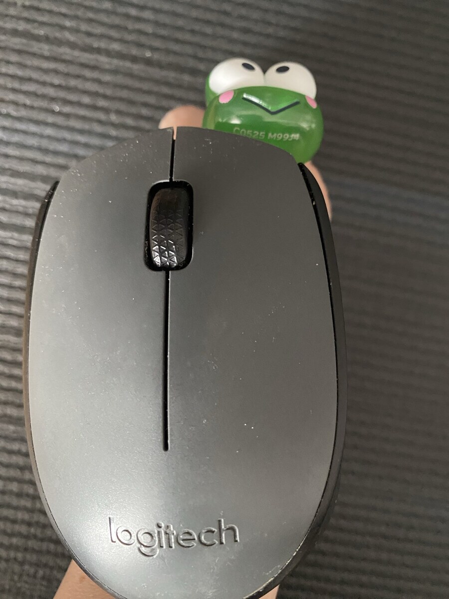 헬로윈 특집 리노아님의 반지자랑_1.jpg