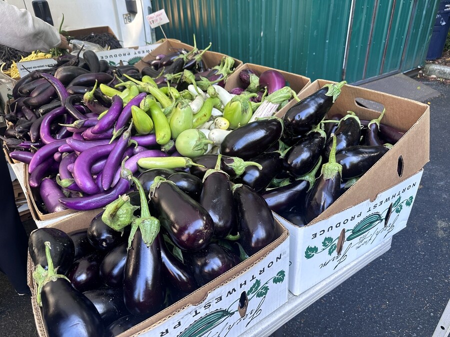 8월의 먹고살기_4.jpg