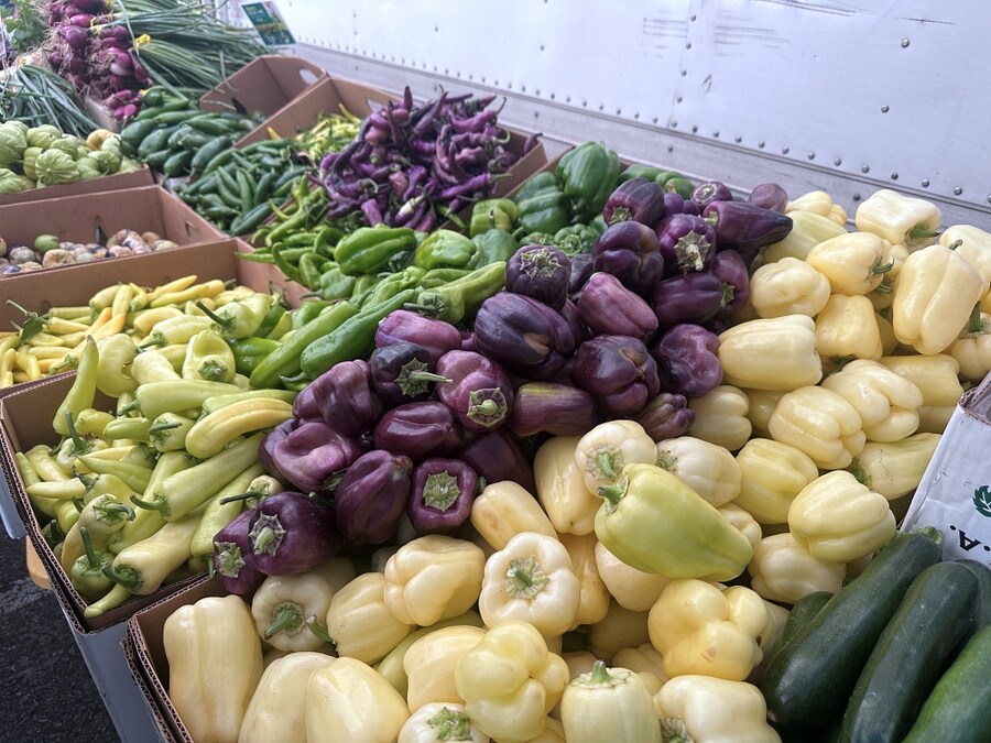 8월의 먹고살기_7.jpg