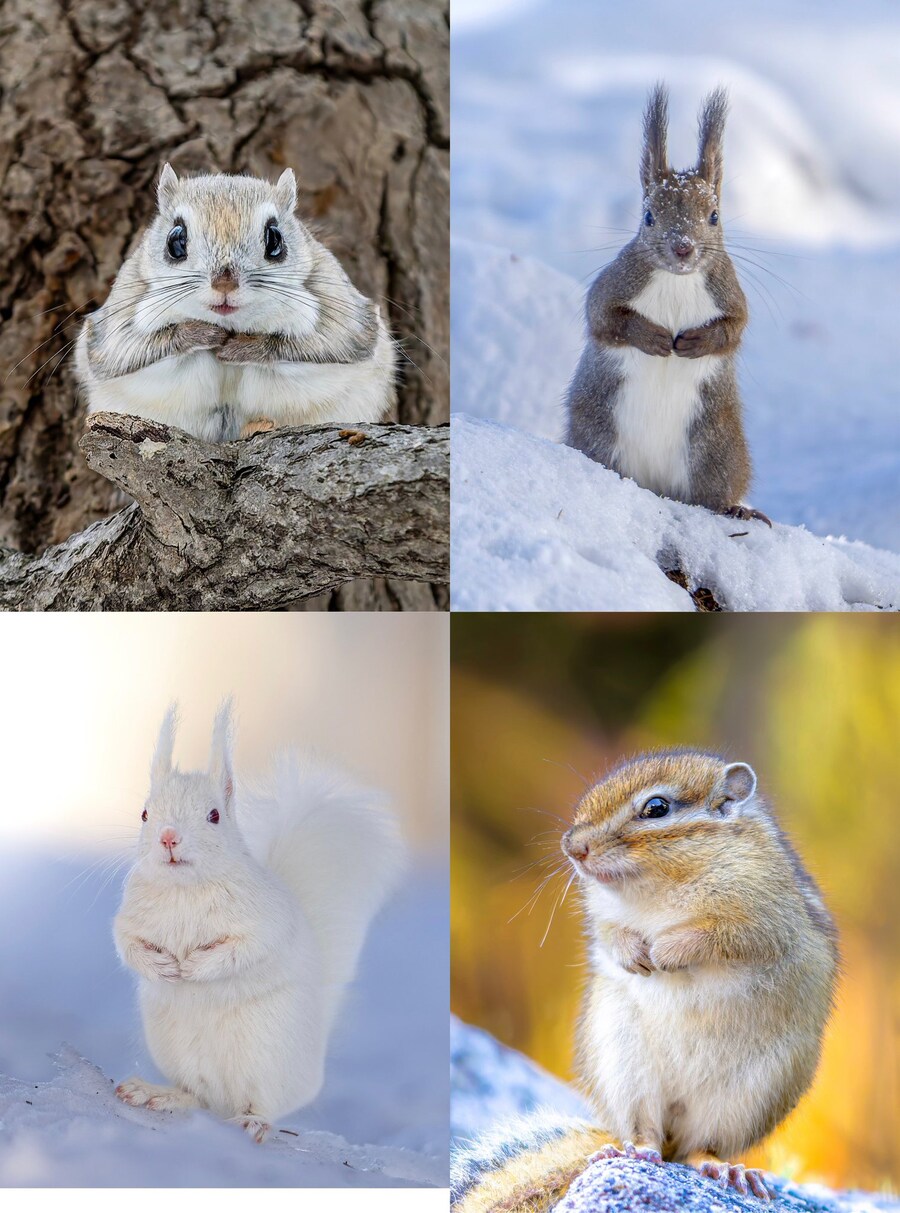 팔로해놓은 사진작가가 정떡을 리트윗하기 시작해따_1.jpg
