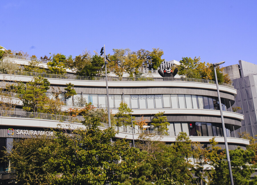 그 까만 곰 쿠마랑 구마모토랑 발음이 비슷하네(여행기)_6.jpg