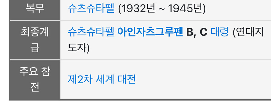 아인자츠그루펜 지휘관들 하나같이 존나 못생겼네_15.jpg