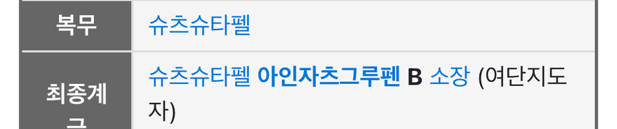 아인자츠그루펜 지휘관들 하나같이 존나 못생겼네_19.jpg