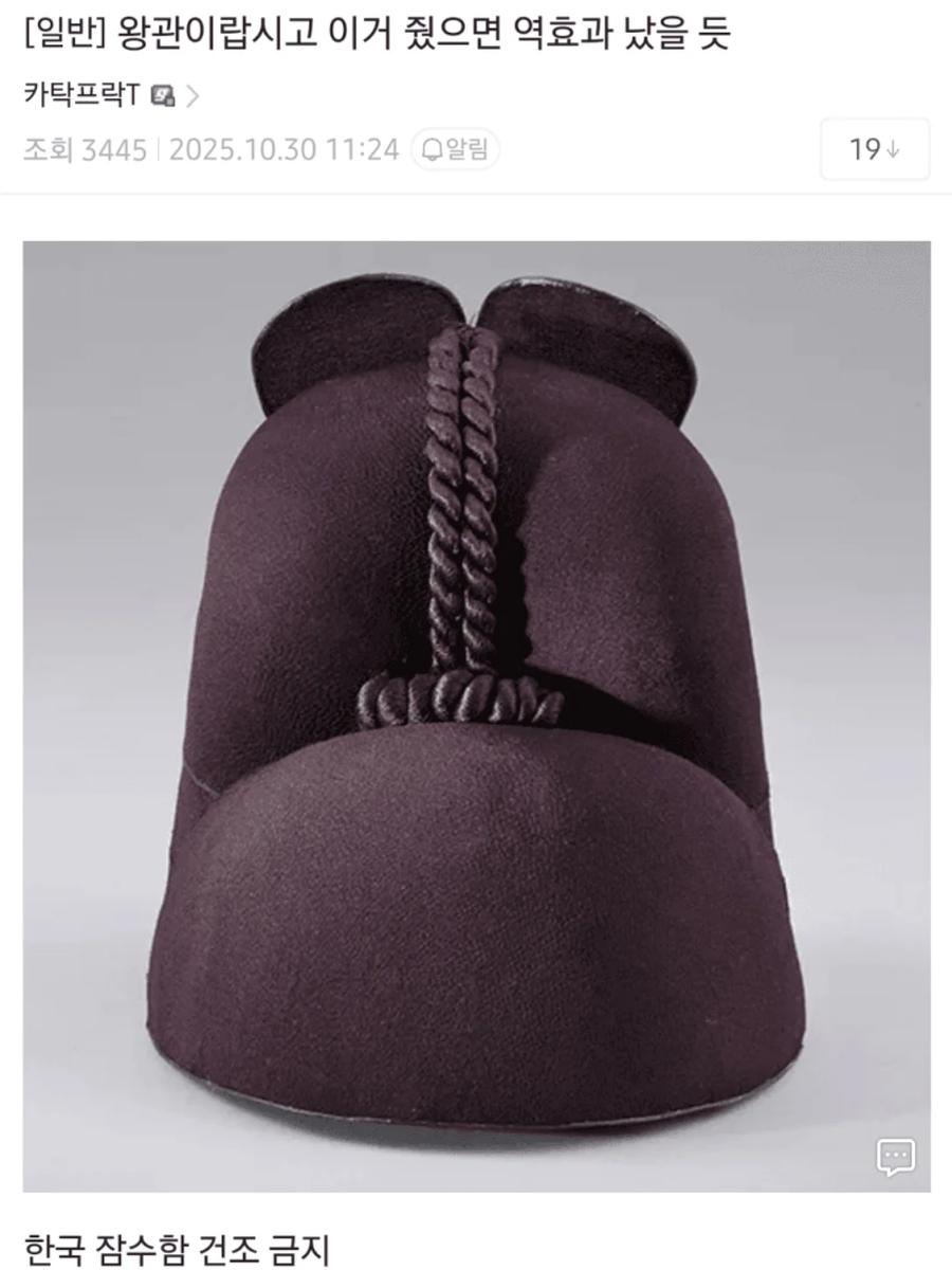 트럼프 성향 보면 그럴싸한 추측.jpg_1.webp