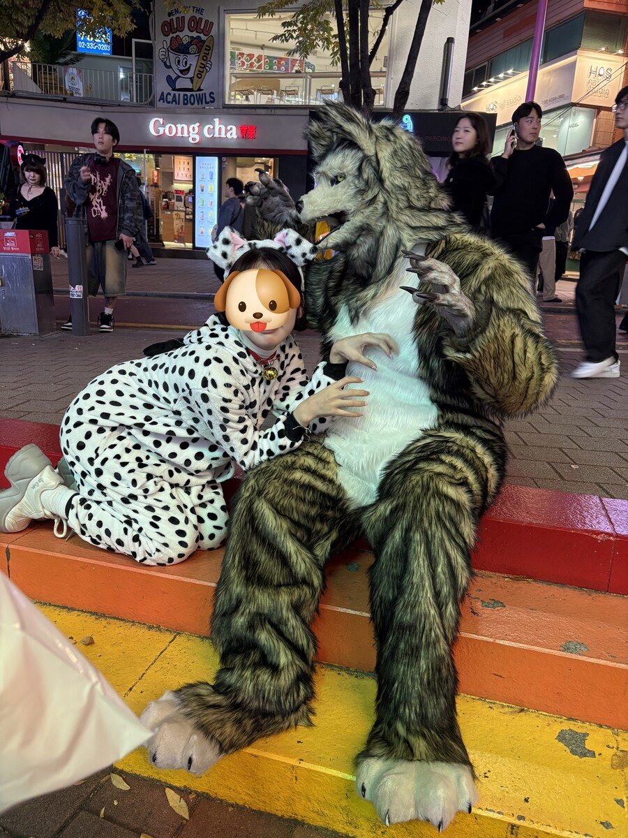 홍대에서 늑대 퍼리 퍼슈트 코스프레 하고 왔다_7.jpg