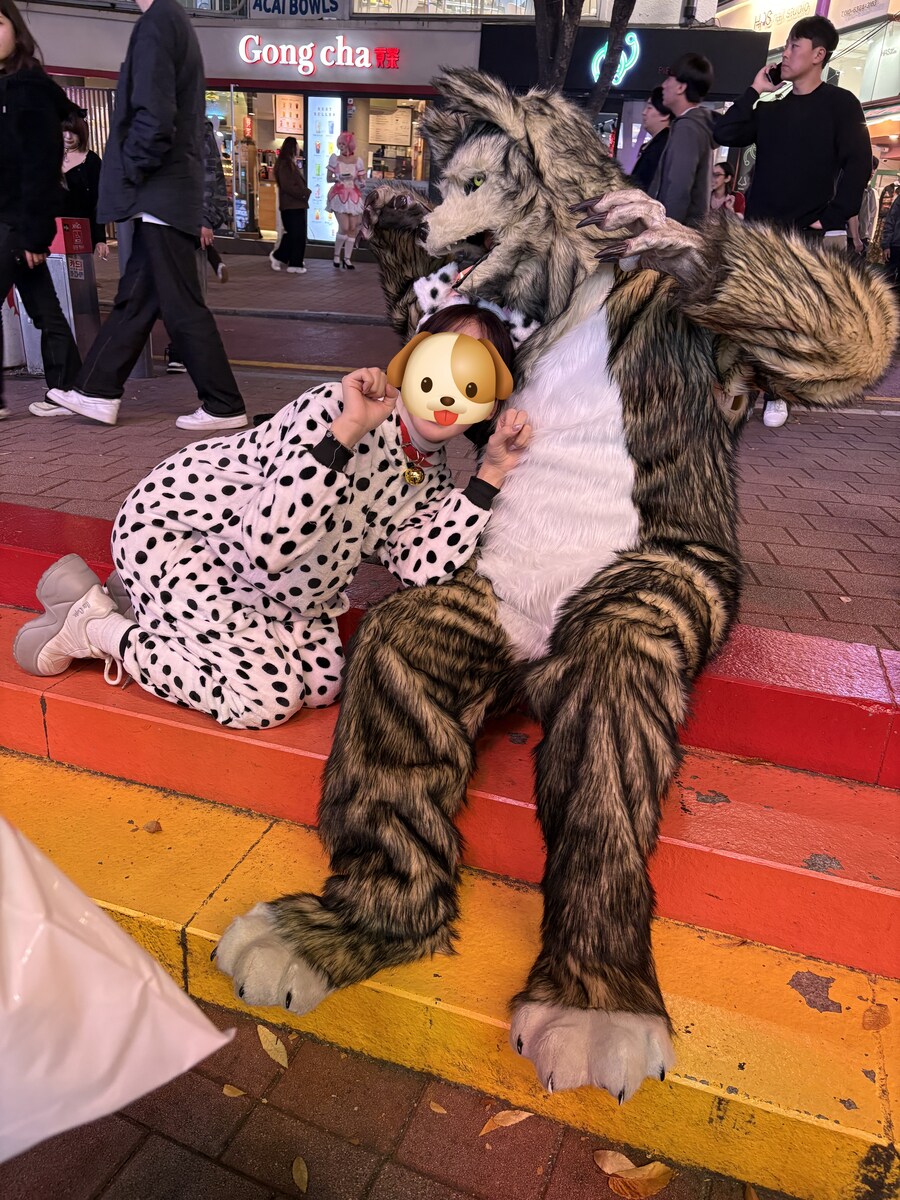 홍대에서 늑대 퍼리 퍼슈트 코스프레 하고 왔다_8.jpg