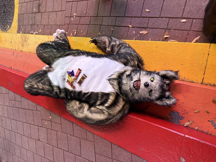 홍대에서 늑대 퍼리 퍼슈트 코스프레 하고 왔다_10.jpg