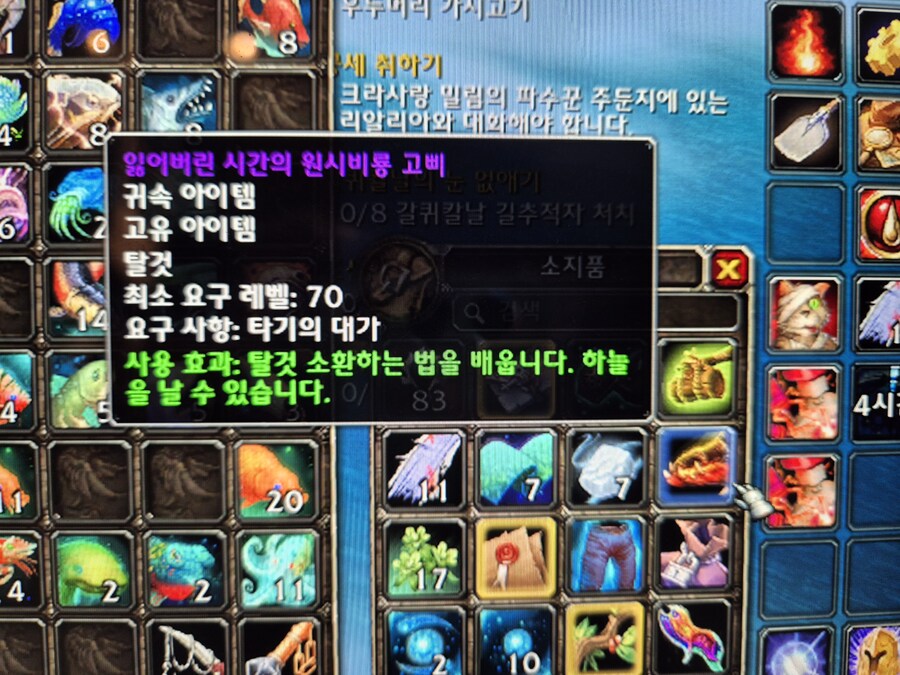 와우) 잃어버린 시간의 원시비룡 구했습니다_2.jpg