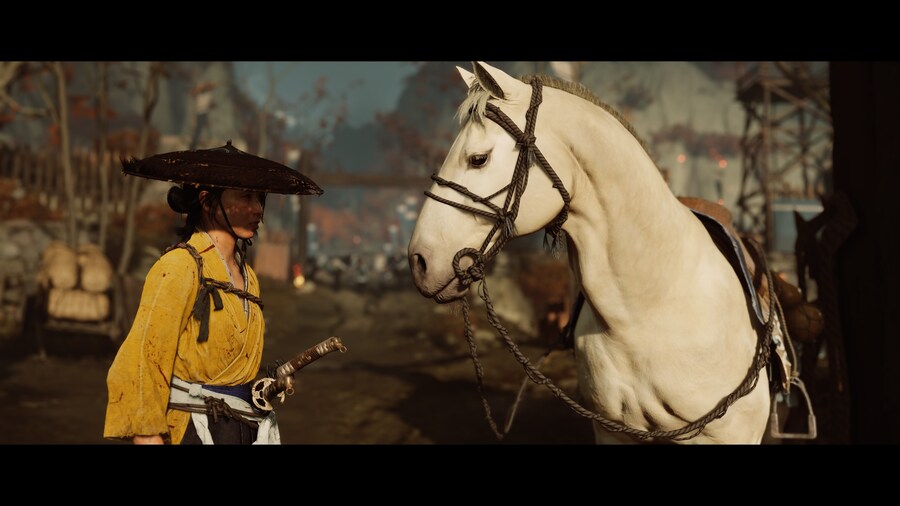 Ghost of Yōtei_8.jpg