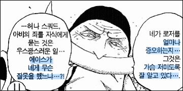 원피스)에서 자주 나오는 주제 중 하나_1.jpg