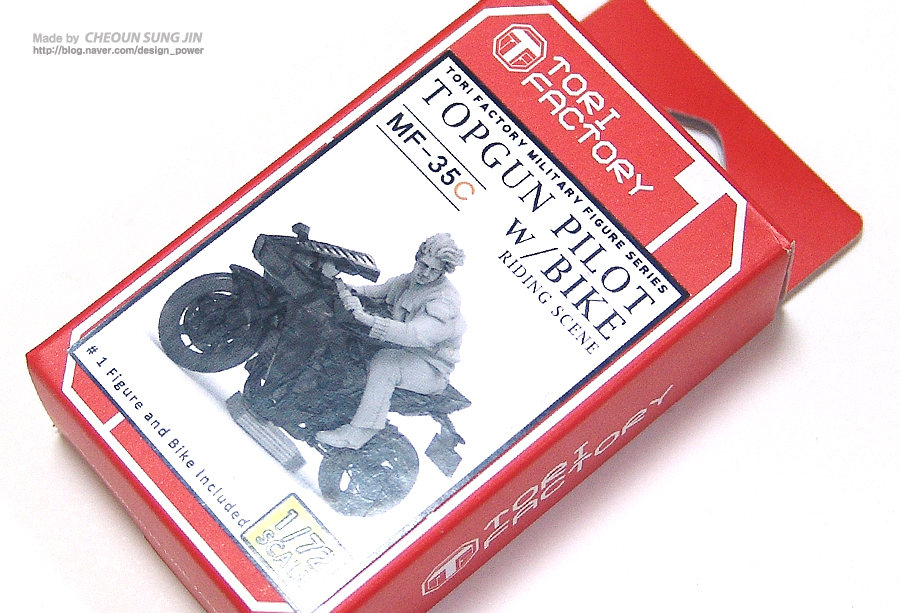 Topgun Pilot w/Bike Riding Scene_1.jpg