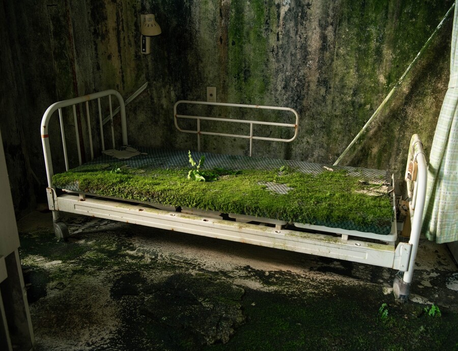 [약간 혐오] 일본, 폐병원의 이끼로 뒤덮인 침대🏥🛌_1.jpg