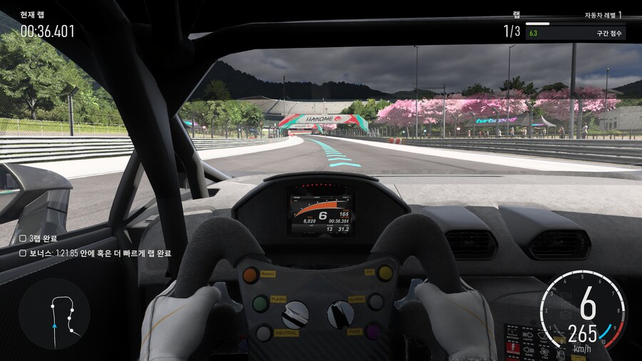 엑시엑 포르자 그래픽_12.png