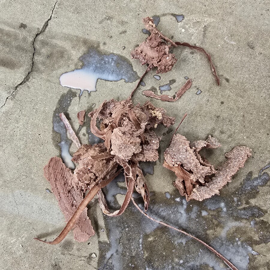 타이어 로테이션...[혐주의]_1.jpg