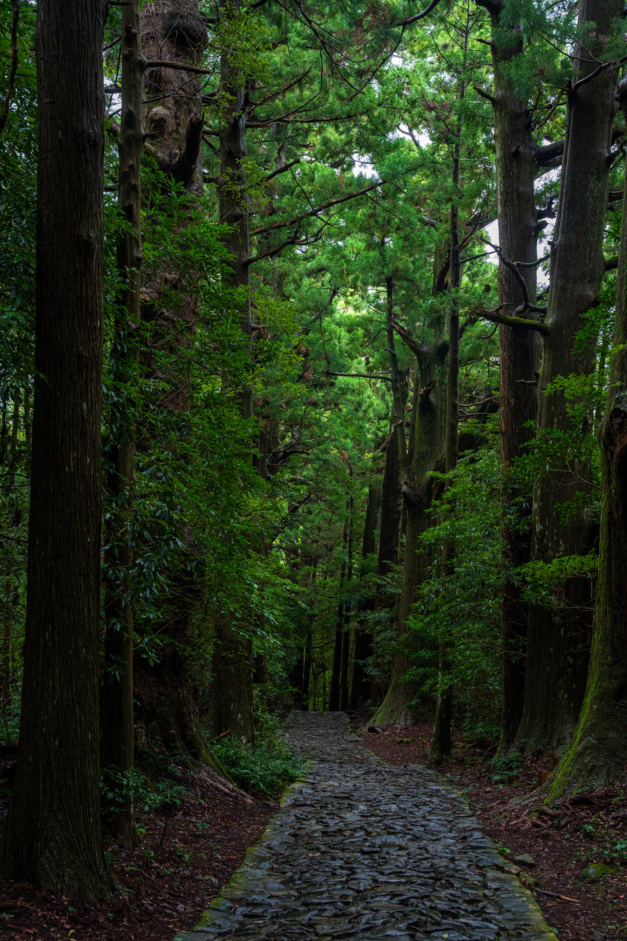 푸른 눈의 여친과의 갈때까지 '간사이' 여행_35.jpg