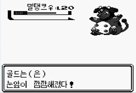 푸른 눈의 여친과의 갈때까지 '간사이' 여행_38.png