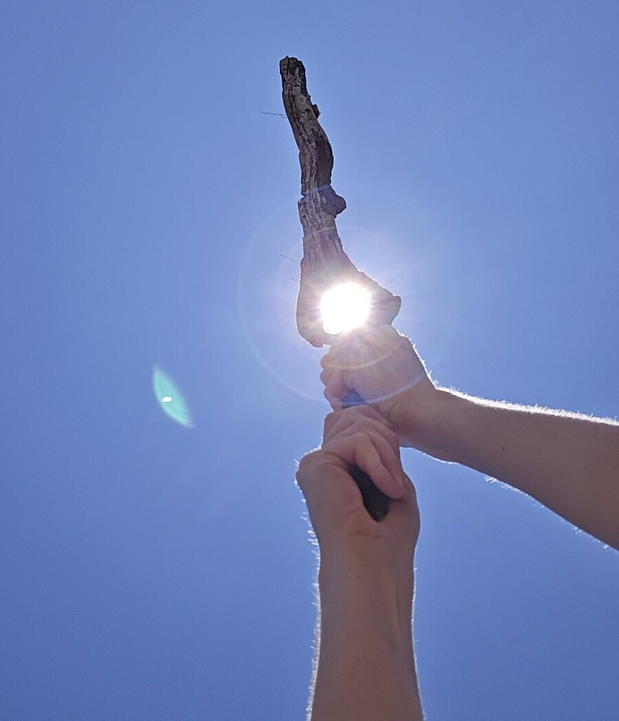 해변에서 발견한 태양의 검.jpg_3.jpg