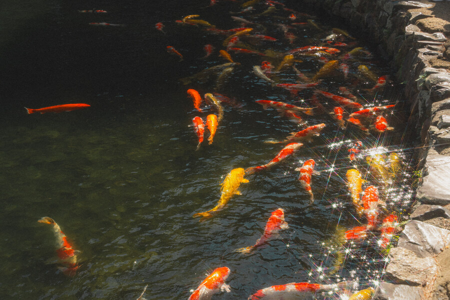 푸른 눈의 여친과의 갈때까지 '간사이' 여행_121.jpg