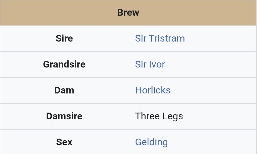 경마, 말딸 혈통) 31세 멜버른컵 최고령 생존마의 모마._2.jpg